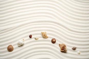 обоя разное, ракушки, кораллы, декоративные, spa, камни, песок