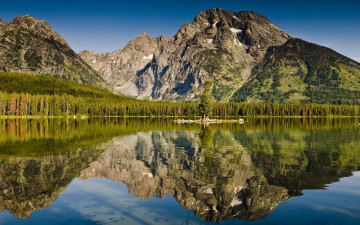 Картинка природа реки озера вода лес отражение