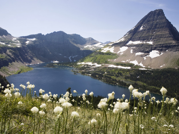 Обои картинки фото природа, реки, озера, снег, озеро, цветы