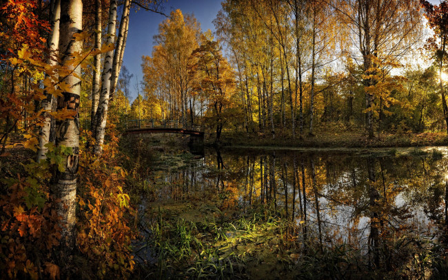 Обои картинки фото природа, реки, озера, деревья, река, осень, мост