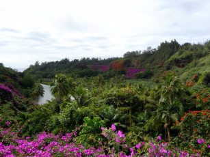 Картинка botanical gardens hawaii природа пейзажи