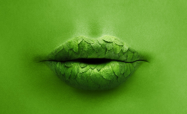 Обои картинки фото разное, губы, листики, мята, зеленый