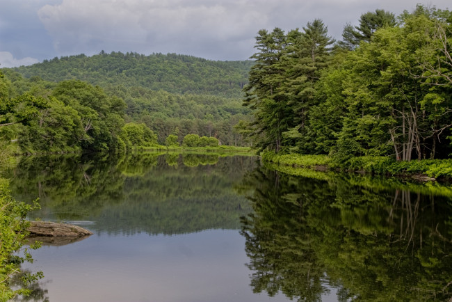 Обои картинки фото природа, реки, озера, вода, зелень, отражение, деревья