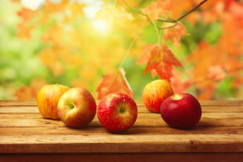 обоя еда, Яблоки, листья, осень, урожай, стол, фрукты, фон