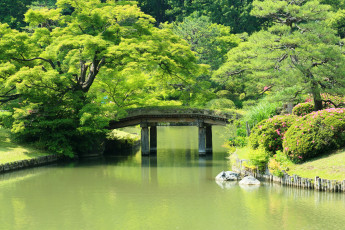Картинка Япония нарита природа парк мостик растения