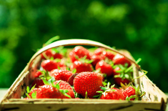 Картинка еда клубника земляника красные ягоды корзина корзинка макро фон зелень