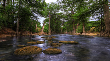 Картинка природа реки озера лес река стволы корни камни