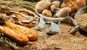 Картинка еда хлеб выпечка французский багет буханки зерно колосья