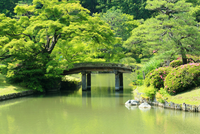 Обои картинки фото Япония, нарита, природа, парк, мостик, растения