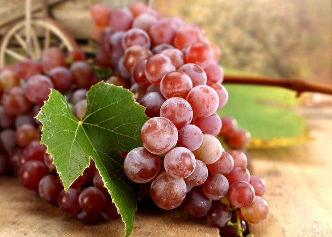 Обои картинки фото еда, виноград, осень, лист, ягоды, гроздь, красный