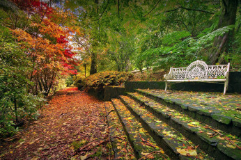 Картинка природа парк ступени листопад осень скамейка