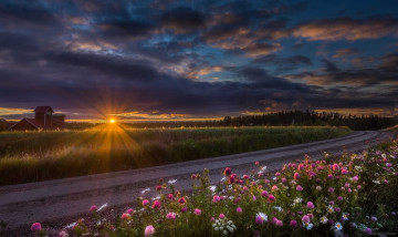 Картинка природа дороги облака закат дорога проселочная цветы