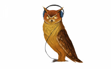 Картинка рисованное минимализм светлый фон наушники сова музыка owl птица