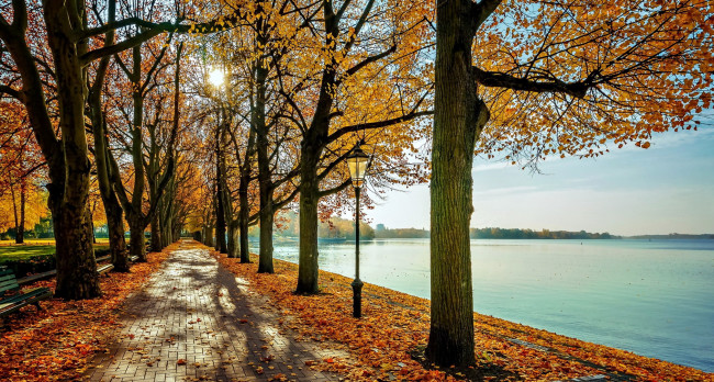 Обои картинки фото природа, парк, река, аллея, деревья, осень, листопад