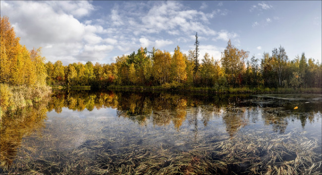 Обои картинки фото природа, реки, озера, роман, Чудинович, осень, отражение, небо, деревья, река, лес