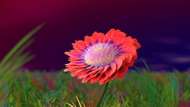 Обои картинки фото 3д графика, цветы , flowers, цветок, лепестки, фон