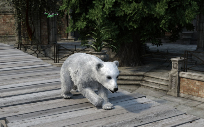 Обои картинки фото 3д графика, животные , animals, фон, медведь