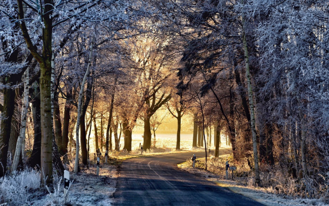 Обои картинки фото природа, дороги, утро, дорога, зима