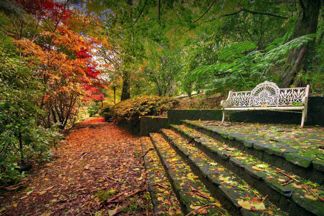 Обои картинки фото природа, парк, ступени, листопад, осень, скамейка