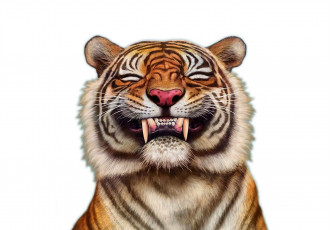 обоя рисованное, животные,  тигры, тигр, клыки, улыбка