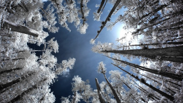 Картинка природа зима небо
