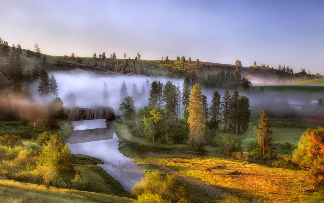 Обои картинки фото природа, пейзажи, утро, деревья, туман, мост, река