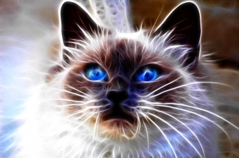 Картинка 3д графика animals животные cat кошка красивый
