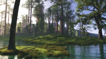 Картинка 3д графика nature landscape природа солнце вода пруд болото деревья лес холмы