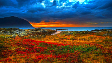 Картинка природа побережье океан луг цветы тучи