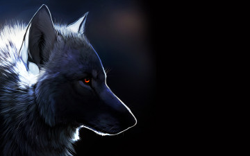 Картинка 3д графика animals животные черный фон янтарные глаза волк