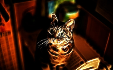 Картинка 3д графика animals животные кошка