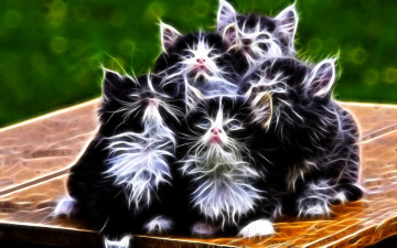 Картинка 3д графика animals животные котята