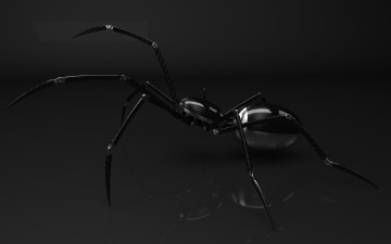 Картинка 3д графика animals животные паук