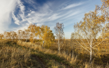 Картинка природа дороги дорога поле осень