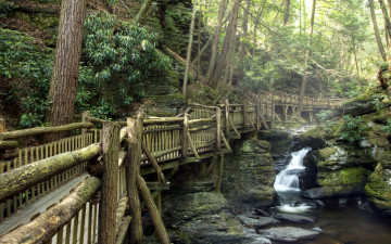 Картинка природа парк мост река