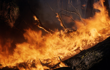 Картинка fire природа огонь лес бедствие стихия пожар