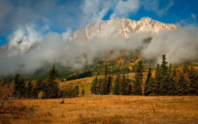 Обои картинки фото природа, горы, равнина, трава, деревья, туман