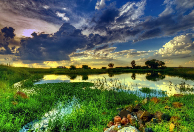 Обои картинки фото природа, реки, озера, зеелень, пруд, трава, поле, лето