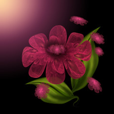 Картинка 3д графика flowers цветы узор цвета фон лепестки цветок