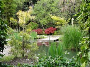 Картинка италия гардоне ривьера природа парк пруд кусты цветы