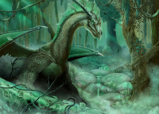 Картинка фэнтези драконы камни дракон ручей лес