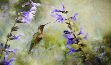Картинка рисованные животные колибри