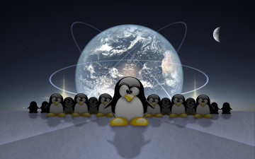 Картинка 3д графика animals животные пингвины