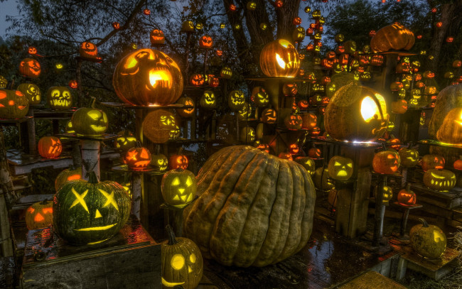 Обои картинки фото праздничные, хэллоуин, тыквы, passion, for, pumpkins, halloween, roger, williams, park
