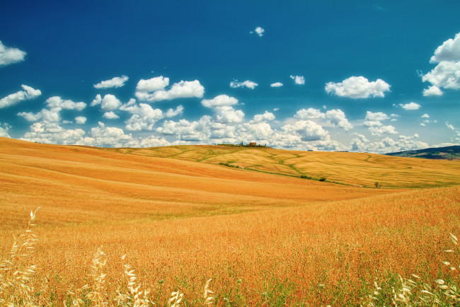 Обои картинки фото природа, поля, италия, тоскана, лето, июнь, поле, небо, облака