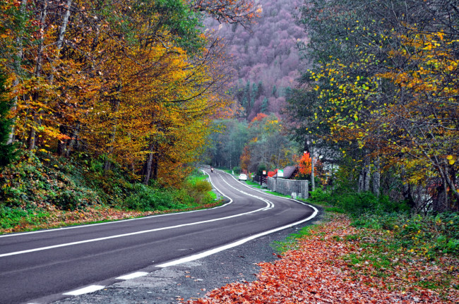 Обои картинки фото природа, дороги, листопад, осень, поворот, шоссе
