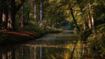 Картинка природа реки озера нидерланды