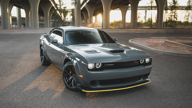 Обои картинки фото автомобили, dodge, challenger