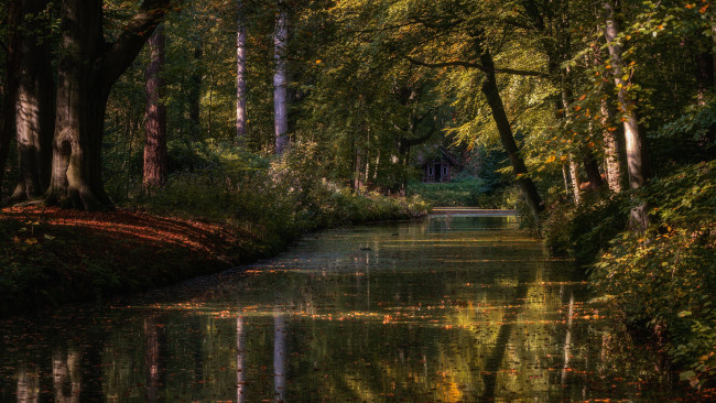 Обои картинки фото природа, реки, озера, нидерланды