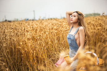обоя девушки, - азиатки, поле, пшеница, колосья, азиатка, светлые, волосы